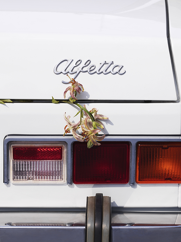 07_CARS_LDF