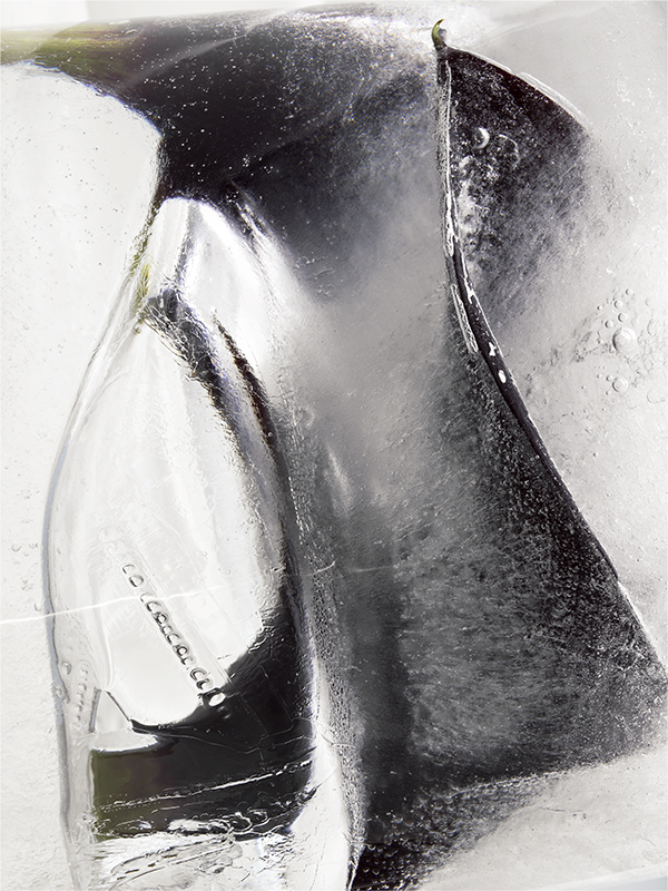 07_ICEFLOWER_LDF_0002-07