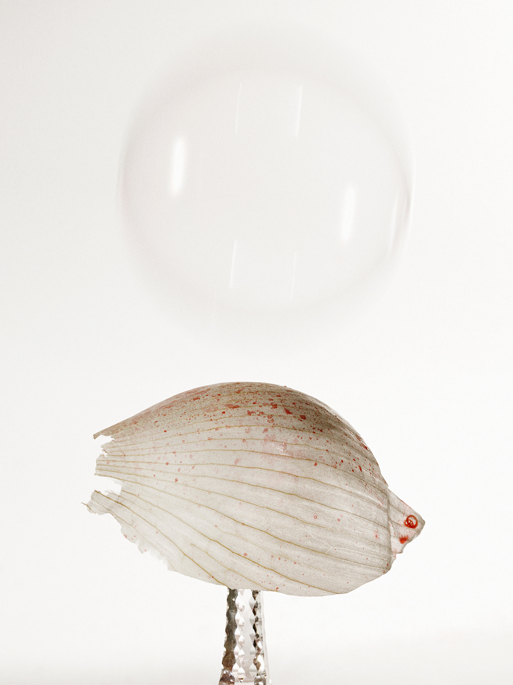 01_BOULLES_LDF_0226